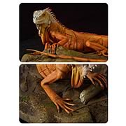 Cold-Blooded Collectibles Red Iguana Statue Sculpture